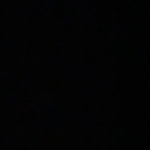 Meet your Posher, Allie